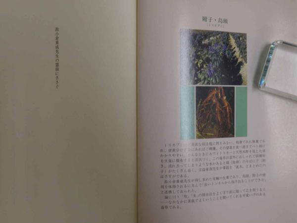傷寒論の謎－二味の薬徴－(田畑隆一郎/著) / 古本、中古本、古