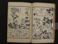 万物図解　為斎画式　二帙
