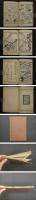 万物図解　為斎画式　二帙