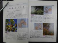 鍼灸OSAKA　vol.14　№2　通巻50号　［特集：顔面痛］