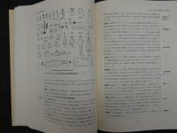 中日日中　共同尼雅遺跡学術調査報告書　第二巻　中日共同尼雅遺跡学術考察隊　日中共同ニヤ遺跡学術調査隊