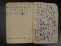 眼科秘伝書　一・二　江戸中～後期写　２冊