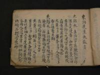 東洞先生丸散方　9丁　眼病　22丁　療癲癇神方　3丁半　帯下編　2丁半　写本