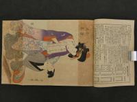風俗図説　第1集1～6号　第2集1～4号　合本3冊 