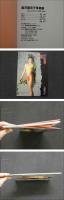 宮沢麻衣子写真集　「お好きにお食べ」