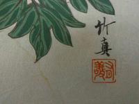 案内状　開催状　摺物　庄司竹真　牡丹　木版彩色刷