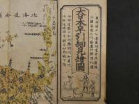 大日本早引細見絵図　静間密　筒井庄治郎　木版彩色刷　