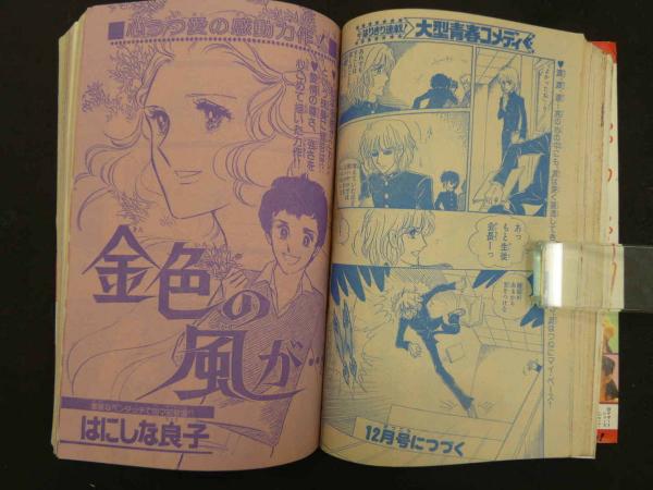 月刊 別冊マーガレット '77/11 第13巻第13号 (いらかの波/河