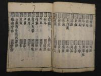 医方大成論　全１冊