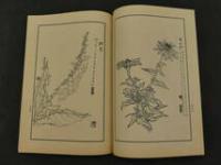 名家花卉画譜　Facsimiles of Flower-Paintings by Chinese Old Masters