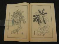 名家花卉画譜　Facsimiles of Flower-Paintings by Chinese Old Masters