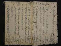 医按四拾壱条　文政12年写　13丁　漢方　写本　古文書