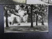 戦前絵葉書　大東京名所絵はがき集より　日比谷公園他　7枚　
