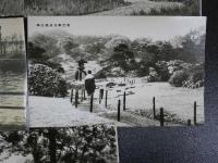 戦前絵葉書　大東京名所絵はがき集より　日比谷公園他　7枚　