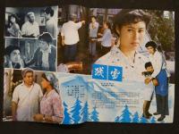 中国銀幕　1981/3　中国映画輸出輸入公司『中国銀幕』編集部　中国国際書店