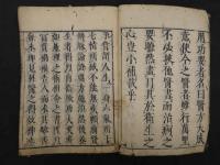 医方大成論　全１冊　