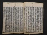 医方大成論　全１冊　