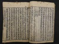 医方大成論　全１冊　