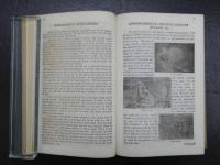 WE　JAPANESE　VOL.Ⅱ　英文