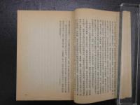新中国的新農村　中文