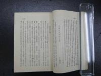 少数民族文芸論集