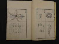 眼科新書　　木版彩色図入　5巻付録1巻　全6冊　