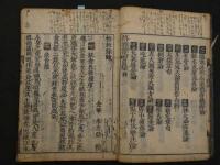 格致余論　全1冊