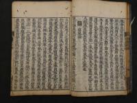 格致余論　全1冊