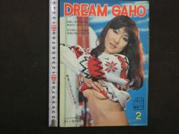 DREAM GAHO　2　ふたりで唄った楽しい愛の讃歌　初春に若妻の肌悩ましく真夜中に歌うラブソング