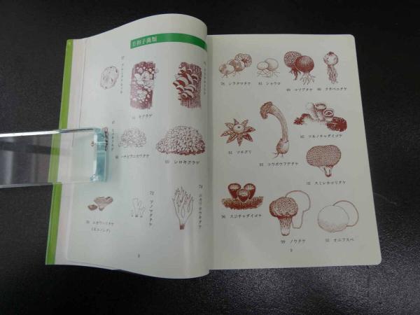 『虫をたおすキノコ』吉見昭一 著 子ども科学図書館 ムシに生えたきのこ 冬虫夏草 Amazon.co.jp: 『虫をたおすキノコ』吉見昭一 著 子ども科学