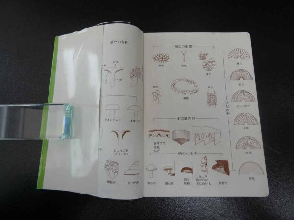 『虫をたおすキノコ』吉見昭一 著 子ども科学図書館 ムシに生えたきのこ 冬虫夏草 Amazon.co.jp: 『虫をたおすキノコ』吉見昭一 著 子ども科学