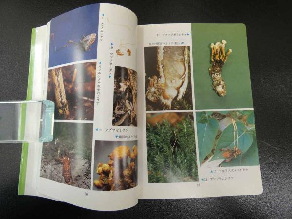 虫をたおすキノコ』吉見昭一 著 子ども科学図書館 ムシに生えた