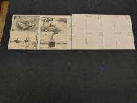 樺島ペン画アルバム　少年倶楽部昭和9年6月号附録　絵葉書　20枚