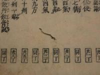 袖珍医方大成　全１冊