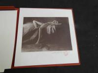 DAVID HAMILTON　デビッド・ハミルトン　PORTFOLIO　ポルトフォリオ　モノクロ版　直筆サイン　落款　7枚　ヌード写真集