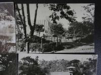 戦前絵葉書　大東京名所絵はがき集より　日比谷公園他　7枚　