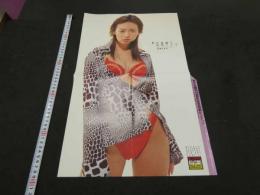雑誌切抜き　ポスター　辺見えり　奥菜恵　両面1枚　４つ折り