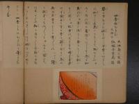 鴨川をどり　刷物　摺物　明治28～34年　貸座敷組合事務所発行　7年分他　