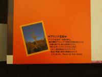 1　有紀と月と太陽と　内田有紀写真集　撮影：アリゾナ五郎