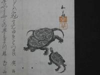 3 俳諧・狂歌・刷物・摺物　亀　木版彩色刷　18.5×24cm