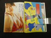 2　ダンク DUNK　１９８６年２月号（第３巻第２号）　松本典子　新田恵利