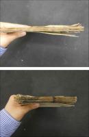 8 湿毒一切経験良方　三都会及諸国湿毒治験名医　12丁　紅毛膏薬方　５丁　漢方　和本　古文書