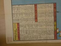 江戸図　喜多川草島縮図　木版彩色刷　