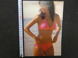 雑誌抜取り　両面1枚ポスター　水着