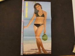 ８　雑誌抜き取り　ミス・サンシャイン’８０　碧夏子　堀善郎/撮影　両面３つ折りポスター 