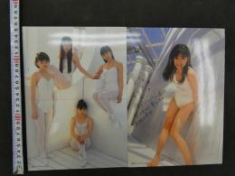 ８　下敷き　Ace　File　アイドル　２枚両面