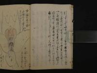 1　秘密伝　儒仏神之道 4丁　男女公舎 4丁　天保6年写　一冊　（当時の妊娠の考え方についての良い資料です）　写本　古文書