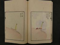 ８　続瘍科秘録　本間棗軒　安政6年　5巻全5冊　東洋医学・外科・和本・古文書
