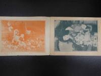 5　英国皇太子殿下御来朝　日本名勝風俗写真献上記念　② 