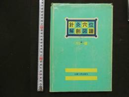 ６　鍼灸穴位解剖図譜　
